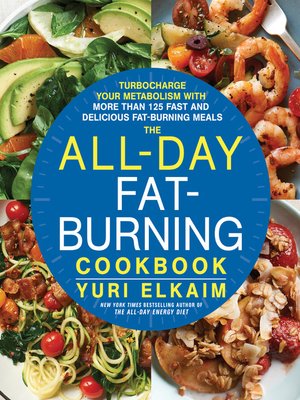 cover image of The All-Day Fat-Burning Cookbook